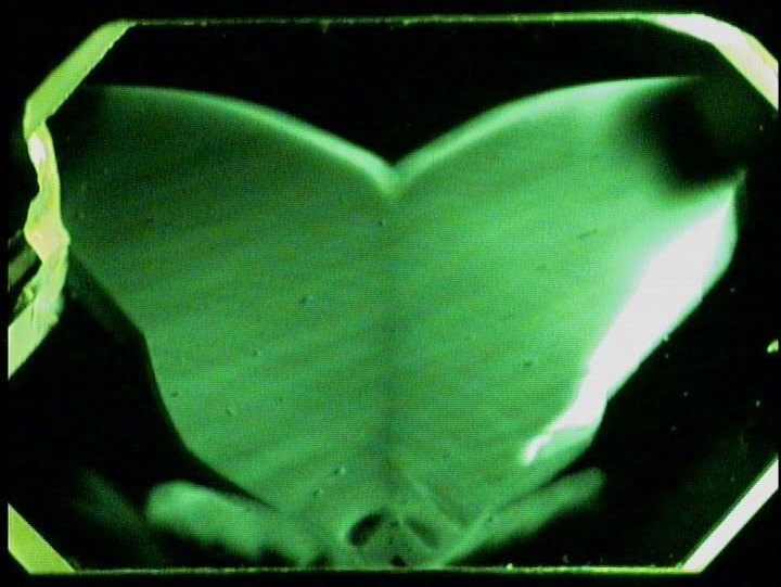 A diamond crystal glowing bright green in a wing-shaped pattern of growth sectors against black.