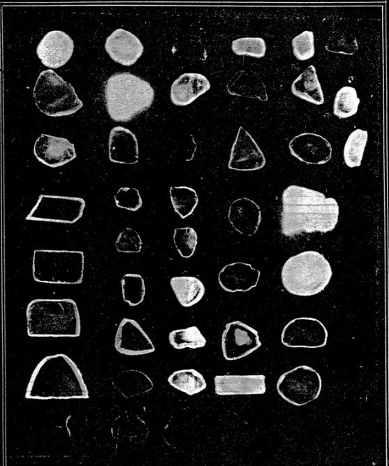 About forty flat diamond plates of different shapes, some glowing bright, some faint, against black.